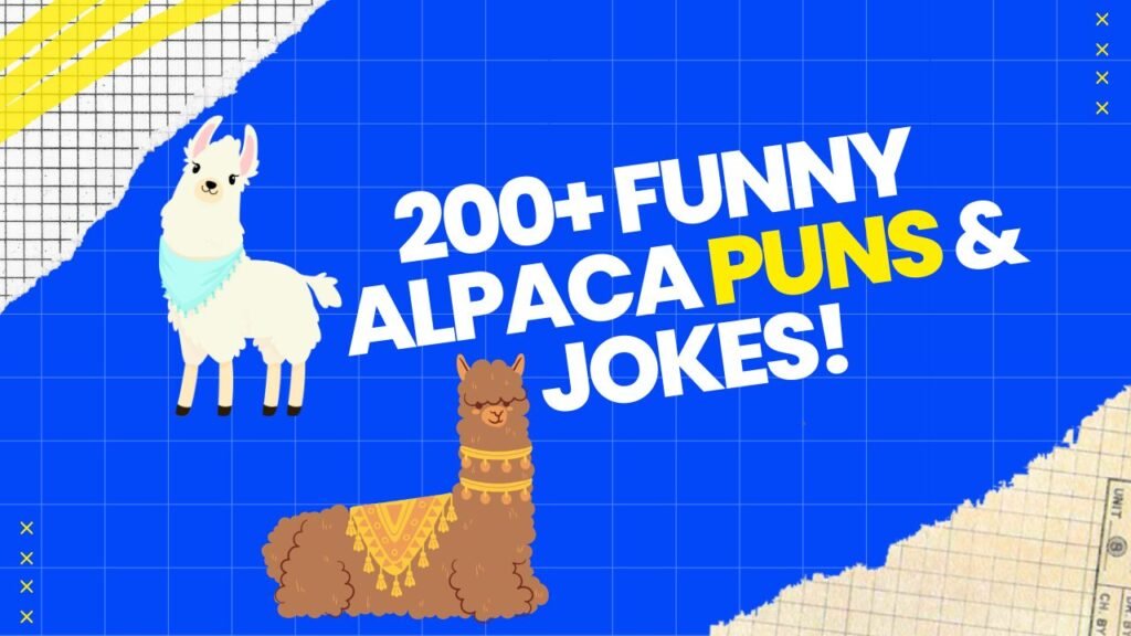 Alpaca Puns