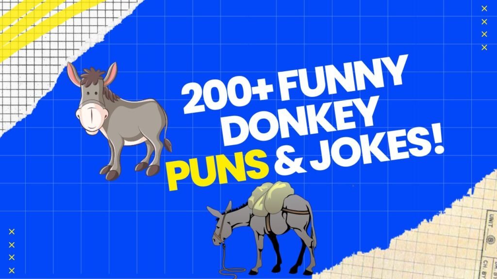 Donkey Puns